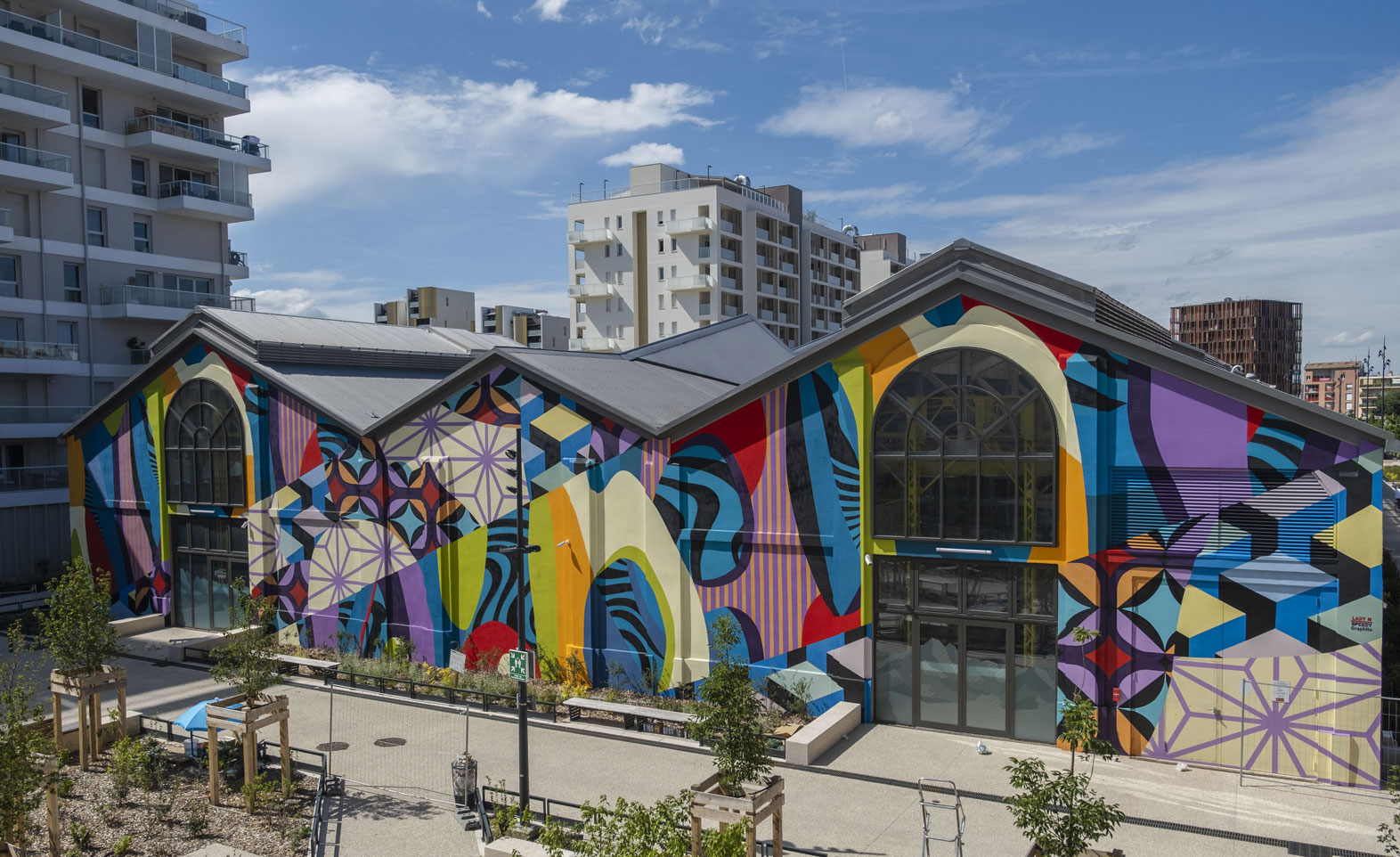 Lady M Speedy Graphito oeuvre Geometric Landscape