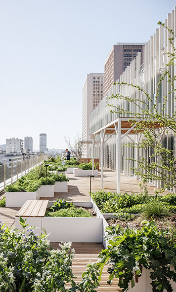 Terrasse de l'immeuble Apollo